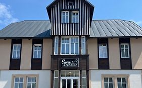Synek Pension